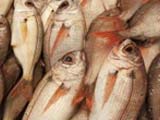 Японские рыбаки требуют от оператора АЭС $5,2 млн 